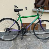 Bicicletta MTB