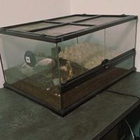 Terrario/teca rettili