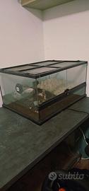 Terrario/teca rettili