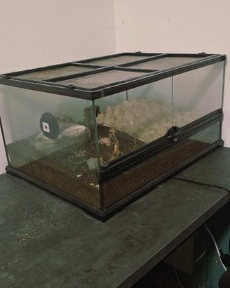 2 terrari/teche per rettili