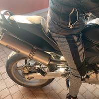 Honda hornet