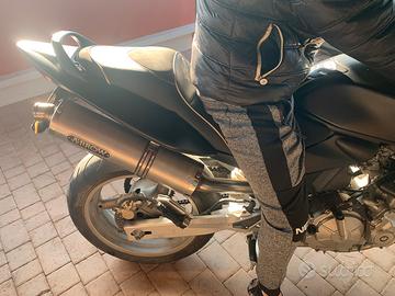 Honda hornet