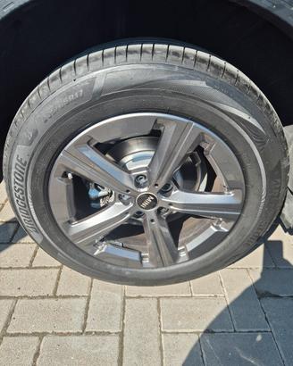 cerchi e gomme nuovi countryman 