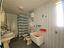 Immagine 28