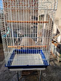Gabbia uccelli