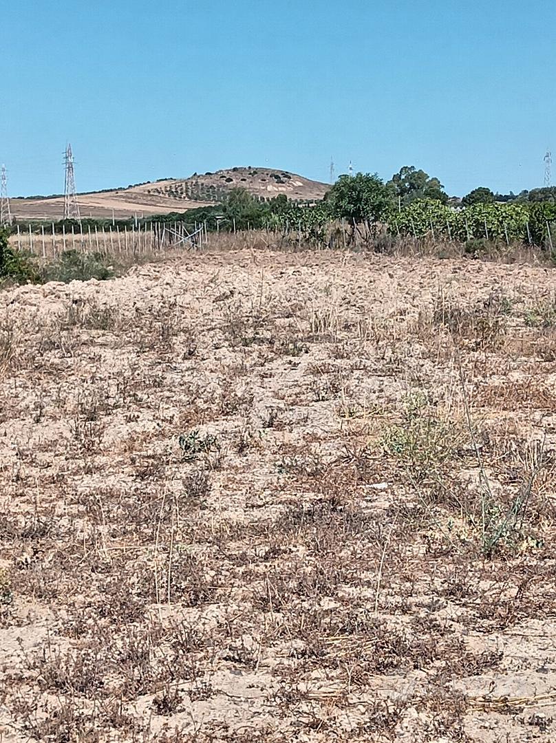 Terreno agricolo a selargius - Vista 4