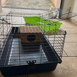 Gabbie per conoglietti o porcellini d’ india