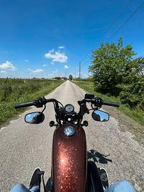 Harley Davidson sportster 1200 (48)