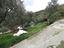 Immagine 25