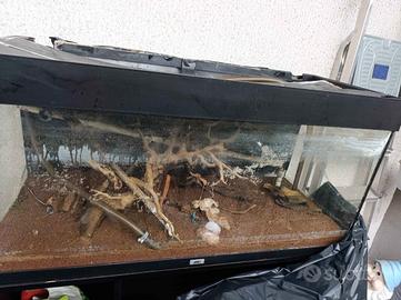 Acquario juwel rio 180 