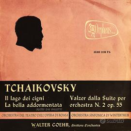 Tchaikovsky - Il lago dei cigni