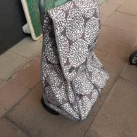 Carrello trolley porta spesa