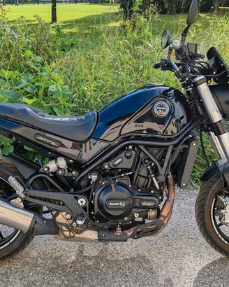 Benelli Leoncino 500 2021
