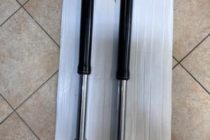 Forcelle+parasteli Husqvarna sm 2010