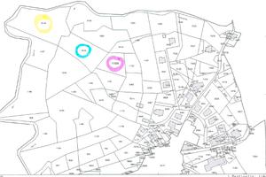 Terreno agricolo Poscante