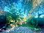 Immagine 12