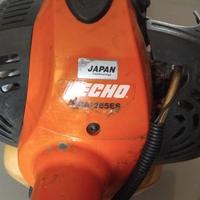 Tagliasiepi su asta professionale ECHO