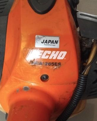 Tagliasiepi su asta professionale ECHO