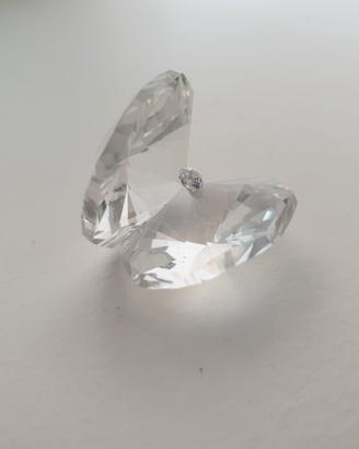 Ostrica con perla Swarovski