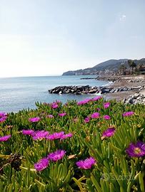 Appartamento primo piano