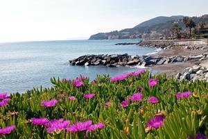 Appartamento primo piano