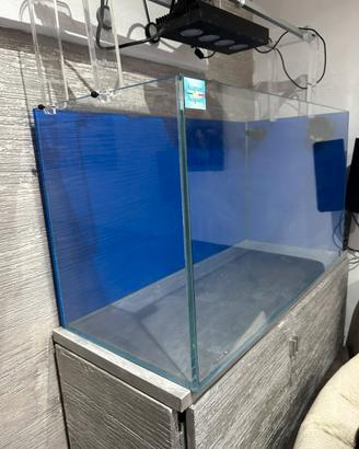 Acquario