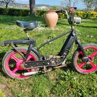 paggio ciao elaborato