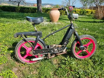 paggio ciao elaborato