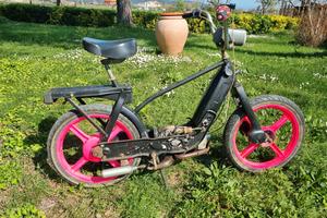 paggio ciao elaborato