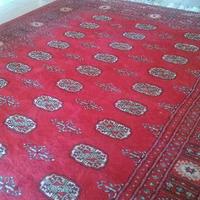 Tappeto Pakistano 3ply cm 241x174