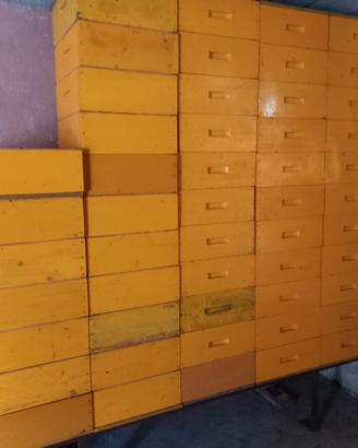 MELARI ARNIE PORTASCIAMI 