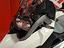 Immagine 10