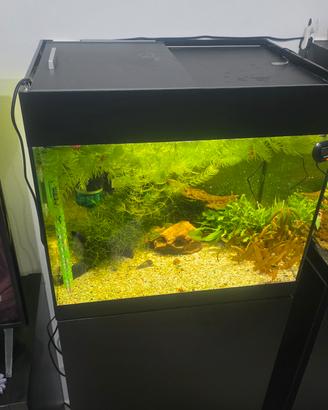 acquario OASE 85L
