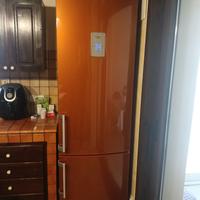 Scheda frigorifero Electrolux modello  RNA38980Z