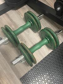 2 manubri lineaflex