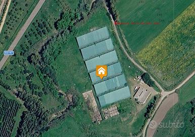 Immobile in asta di 418 m² a Las Plassas