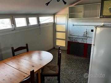 Mansarda panoramica con terrazzo - Viale Gobetti