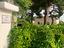 Immagine 12