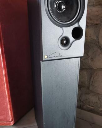 Casse acustiche da pavimento  con  amplificatore.