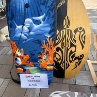 Coppia di tavole da skimboard