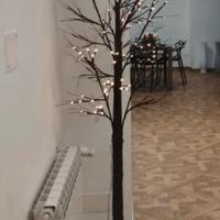 Albero Luminoso Franzy's