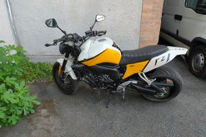  fz1 naked 