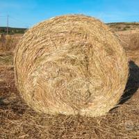 Balloni fieno