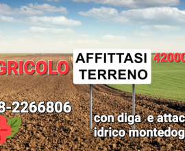 Affittasi terreno agricolo sangiustino perugia