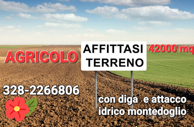 Affittasi terreno agricolo sangiustino perugia