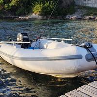 Tender RIB BWA 310VTR