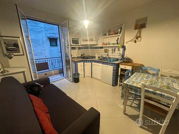 V/1334 Appartamento panoramico con terrazzo