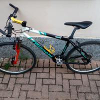 Bianchi SL Asset 3200 Lite Alloy