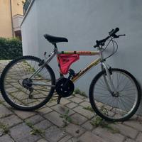 Mountain bike ruota 24
