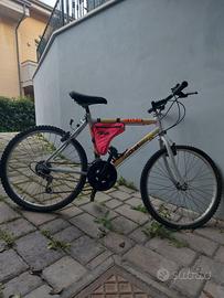 Mountain bike ruota 24